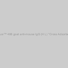 Image of iFluor™ 488 goat anti-mouse IgG (H+L) *Cross Adsorbed*